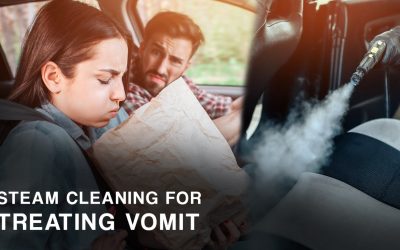 Steam Cleaning For Treating Vomit